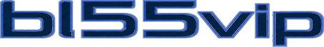 bl55vip logo
